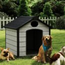 Insulated weatherproof outdoor dog house for large breed dogs