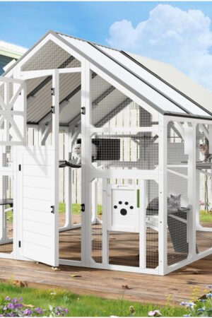 Large 72-inch walk-in catio outdoor cat enclosure with platforms