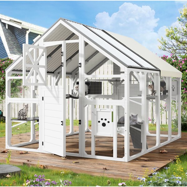 Large 72-inch walk-in catio outdoor cat enclosure with platforms
