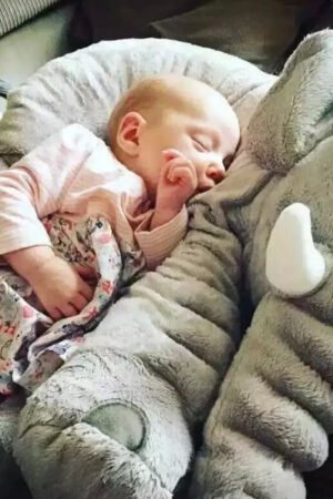 Elephant Comfort Pillow with Blanket, Baby Plush Sleep Toy