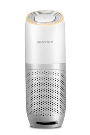 Car air purifier
