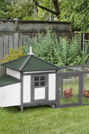 Wooden Chicken Coop With Nesting Boxes