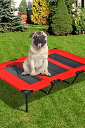 XXL Elevated Dog Bed with Steel Frame, Oxford Fabric & Carry Bag