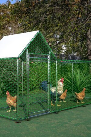 Poultry Habitat Cage With Lid For Chicken Coop